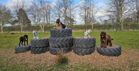 Whats App Image 2025 08 28 at 09 23 04 5fb0eeb8