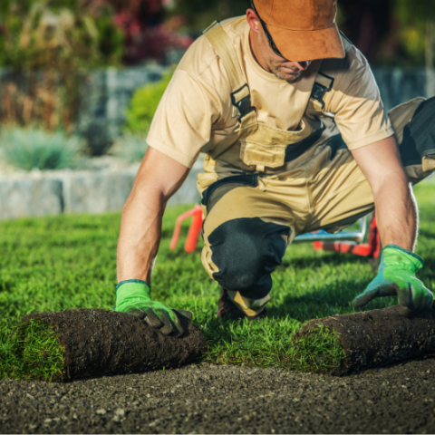 Random 2026 04 23 T153502 164