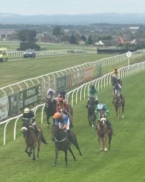 Carlisle Racecourse Horse Race edited