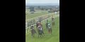 Carlisle Racecourse Horse Race edited